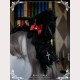 Black Cat Witch Gothic Lolita KC (UN83)